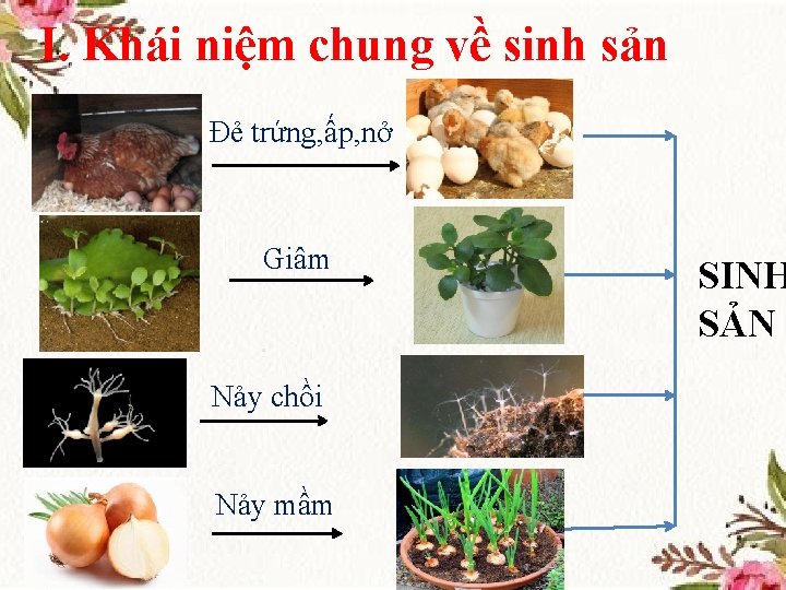 I. Khái niệm chung về sinh sản Đẻ trứng, ấp, nở Giâm Nảy chồi