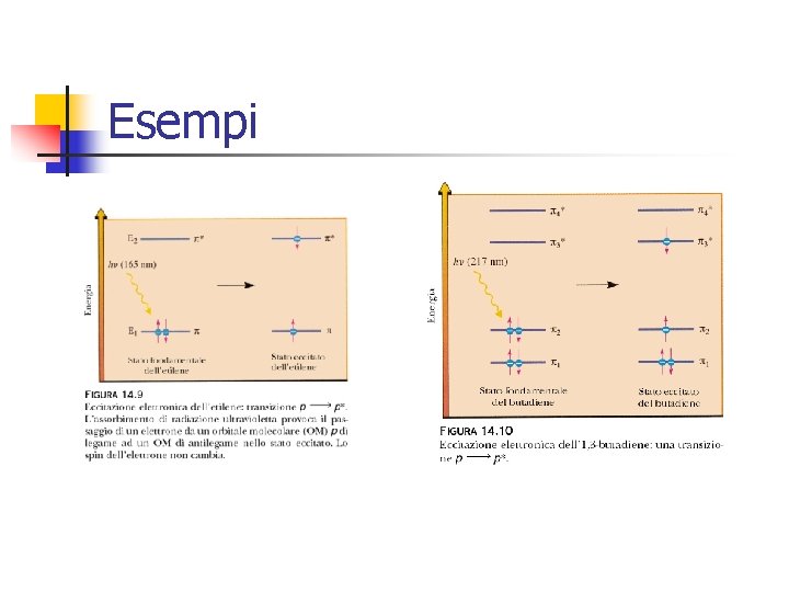 Esempi 