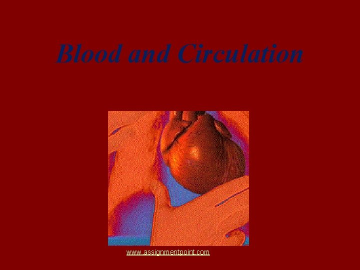 Blood and Circulation www. assignmentpoint. com 