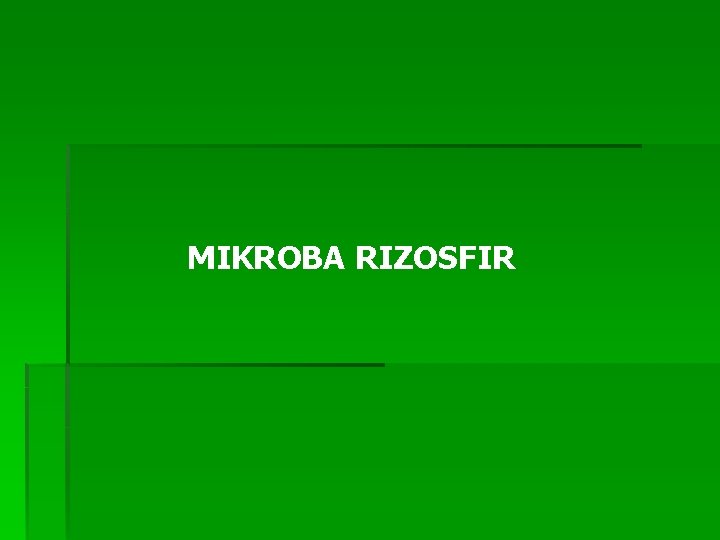 MIKROBA RIZOSFIR 