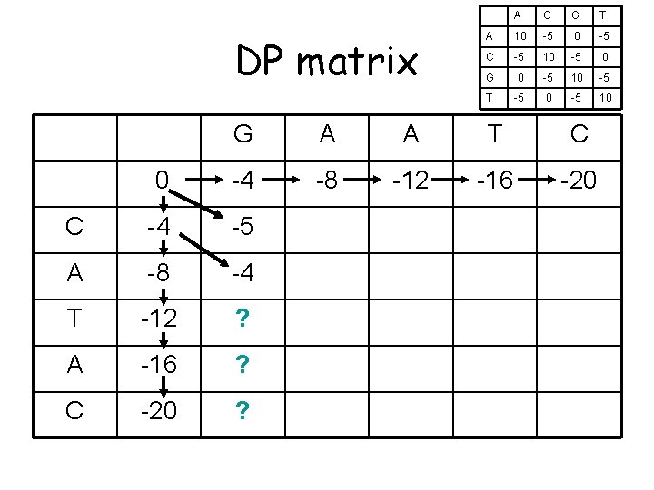 DP matrix A C G T A 10 -5 C -5 10 -5 0