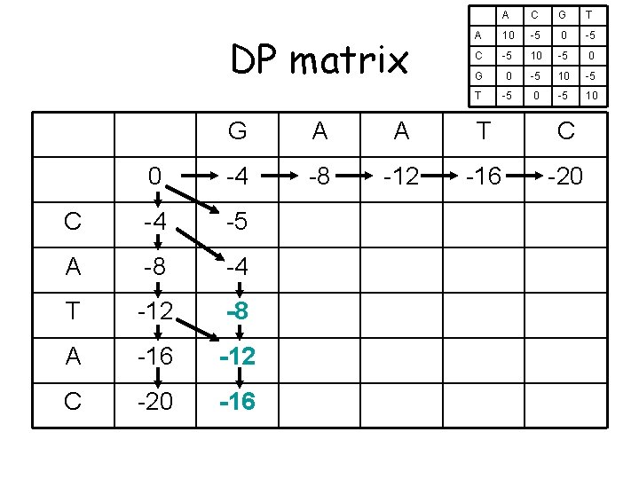 DP matrix A C G T A 10 -5 C -5 10 -5 0