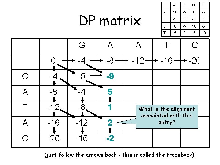 DP matrix A C G T A 10 -5 C -5 10 -5 0
