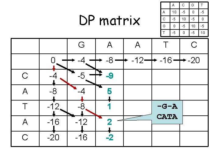 DP matrix A C G T A 10 -5 C -5 10 -5 0
