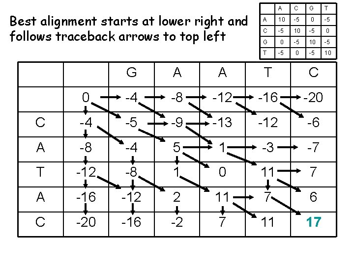Best alignment starts at lower right and follows traceback arrows to top left A
