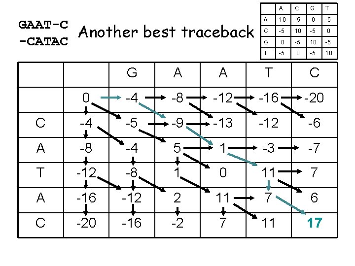 GAAT-C Another best traceback -CATAC A C G T A 10 -5 C -5