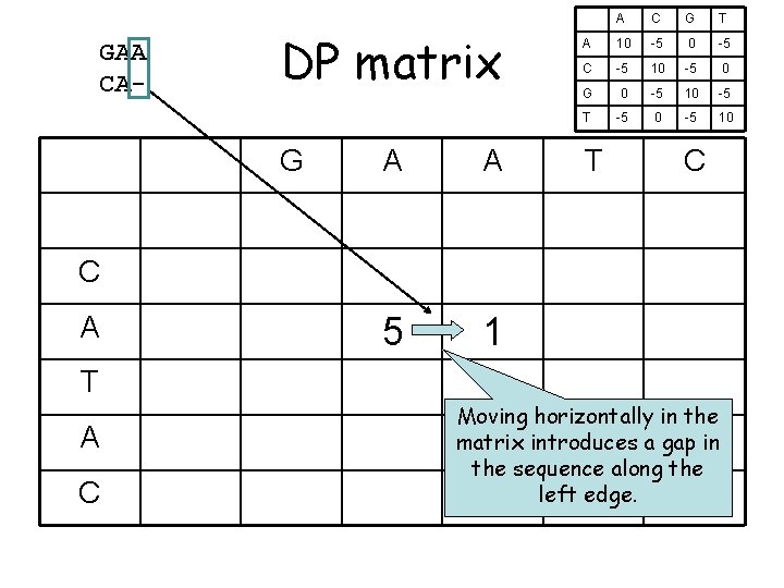 GAA CA- DP matrix G A A 5 1 A C G T A