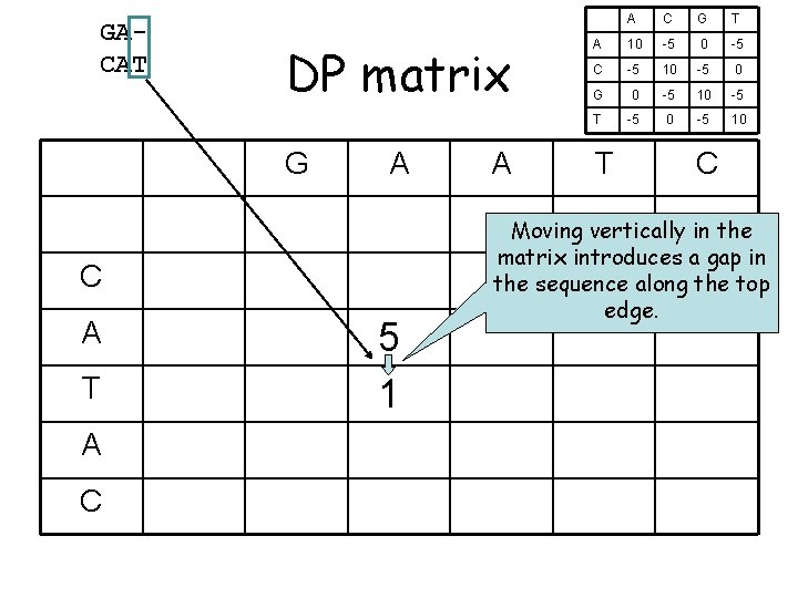 GACAT DP matrix G A C A T A C 5 1 A A