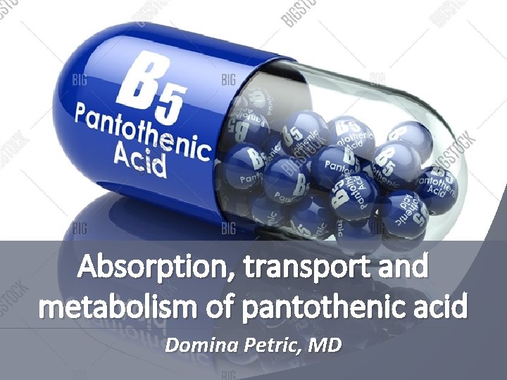 Absorption, transport and metabolism of pantothenic acid Domina Petric, MD 