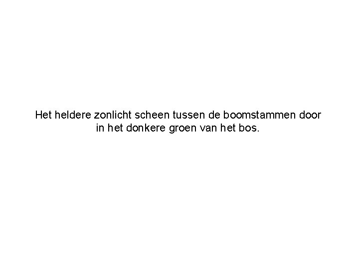 Het heldere zonlicht scheen tussen de boomstammen door in het donkere groen van het