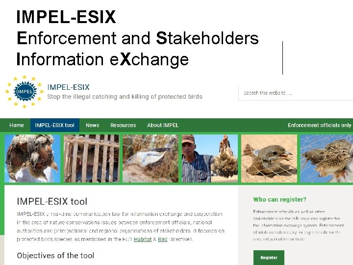 IMPEL-ESIX Enforcement and Stakeholders Information e. Xchange 1 