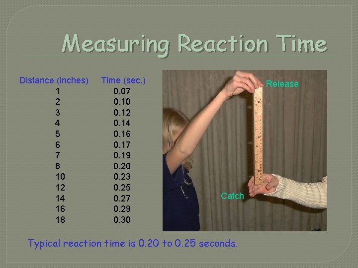 Measuring Reaction Time Distance (inches) 1 2 3 4 5 6 7 8 10