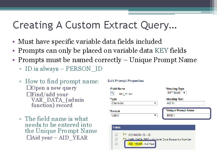 Creating A Custom Extract Query… • Must have specific variable data fields included •