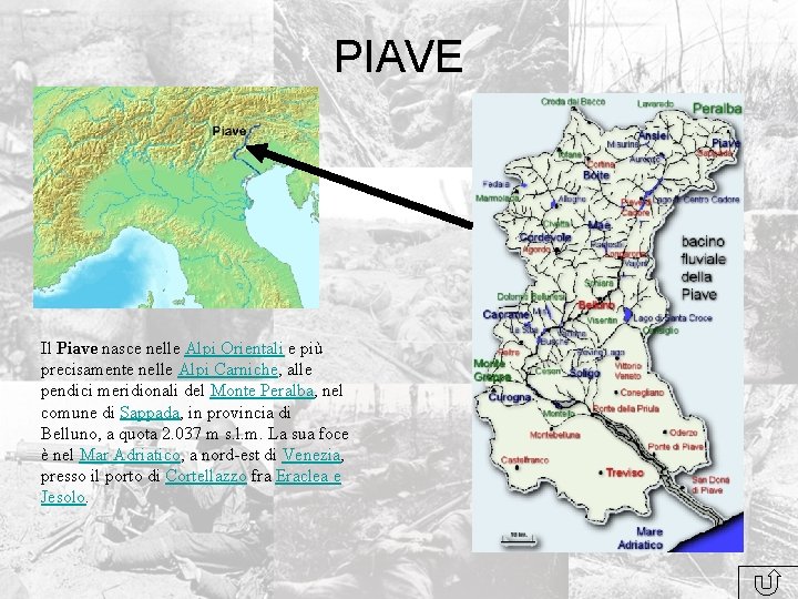 PIAVE Il Piave nasce nelle Alpi Orientali e più precisamente nelle Alpi Carniche, alle