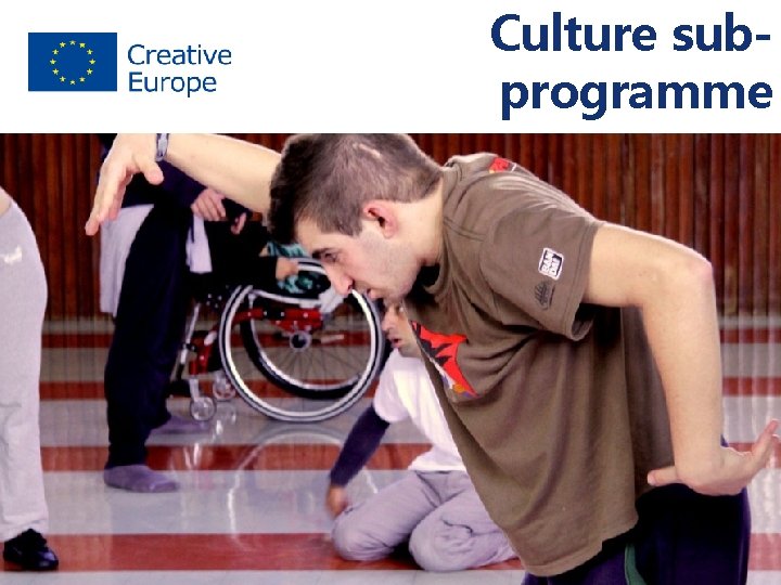 Culture subprogramme 