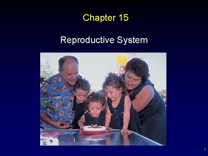 Chapter 15 Reproductive System 1 