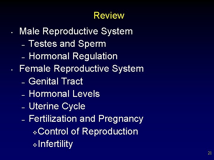 Review • • Male Reproductive System – Testes and Sperm – Hormonal Regulation Female