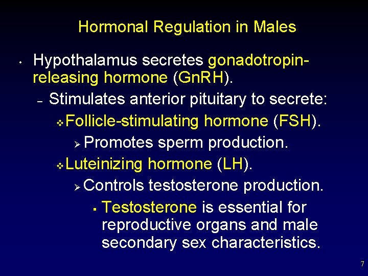 Hormonal Regulation in Males • Hypothalamus secretes gonadotropinreleasing hormone (Gn. RH). – Stimulates anterior