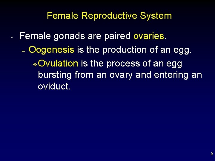 Female Reproductive System • Female gonads are paired ovaries. – Oogenesis is the production