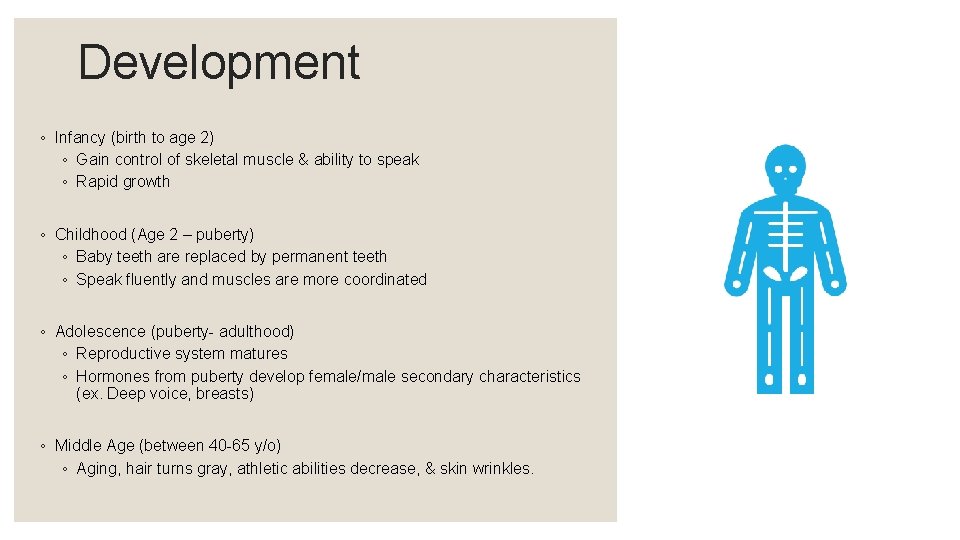 Development ◦ Infancy (birth to age 2) ◦ Gain control of skeletal muscle & Development ◦ Infancy (birth to age 2) ◦ Gain control of skeletal muscle &