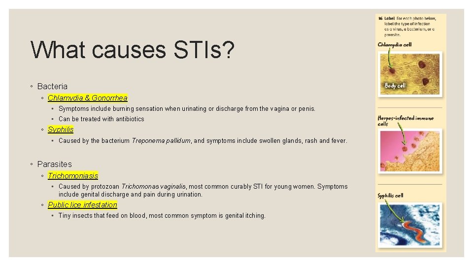 What causes STIs? ◦ Bacteria ◦ Chlamydia & Gonorrhea ◦ Symptoms include burning sensation What causes STIs? ◦ Bacteria ◦ Chlamydia & Gonorrhea ◦ Symptoms include burning sensation