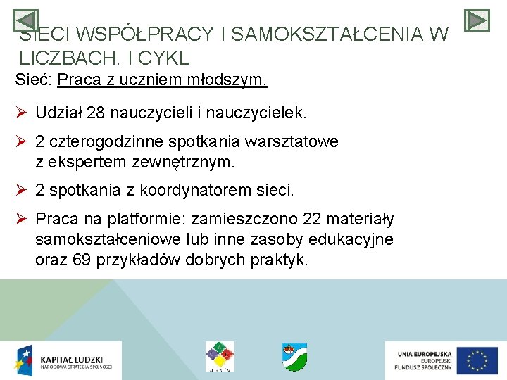 SIECI WSPÓŁPRACY I SAMOKSZTAŁCENIA W LICZBACH. I CYKL Sieć: Praca z uczniem młodszym. Ø