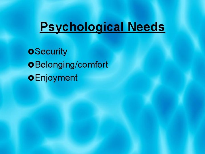 Psychological Needs Security Belonging/comfort Enjoyment 