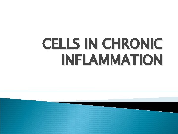 CELLS IN CHRONIC INFLAMMATION 