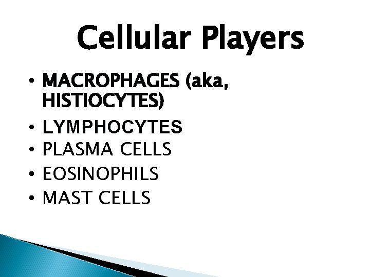 Cellular Players • MACROPHAGES (aka, HISTIOCYTES) • LYMPHOCYTES • PLASMA CELLS • EOSINOPHILS •