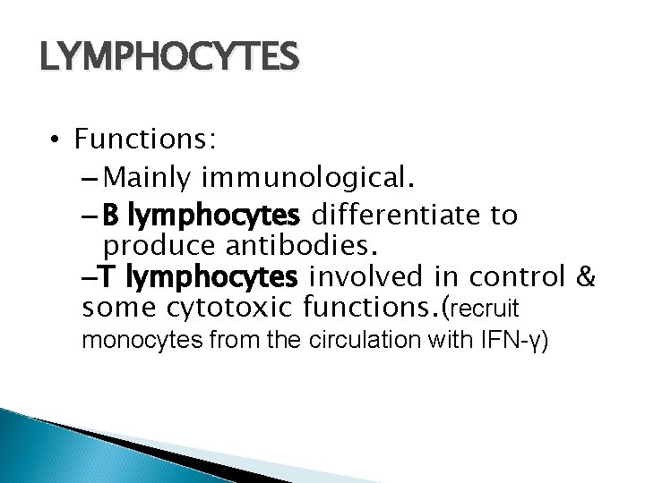 LYMPHOCYTES • Functions: – Mainly immunological. – B lymphocytes differentiate to produce antibodies. –T