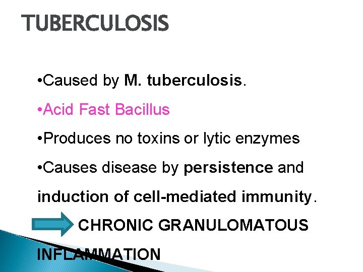 TUBERCULOSIS • Caused by M. tuberculosis. • Acid Fast Bacillus • Produces no toxins