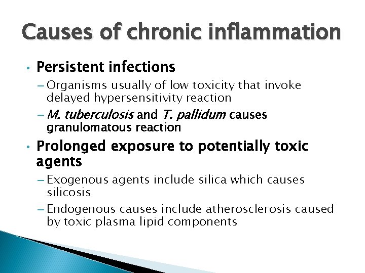 Causes of chronic inflammation • Persistent infections – Organisms usually of low toxicity that