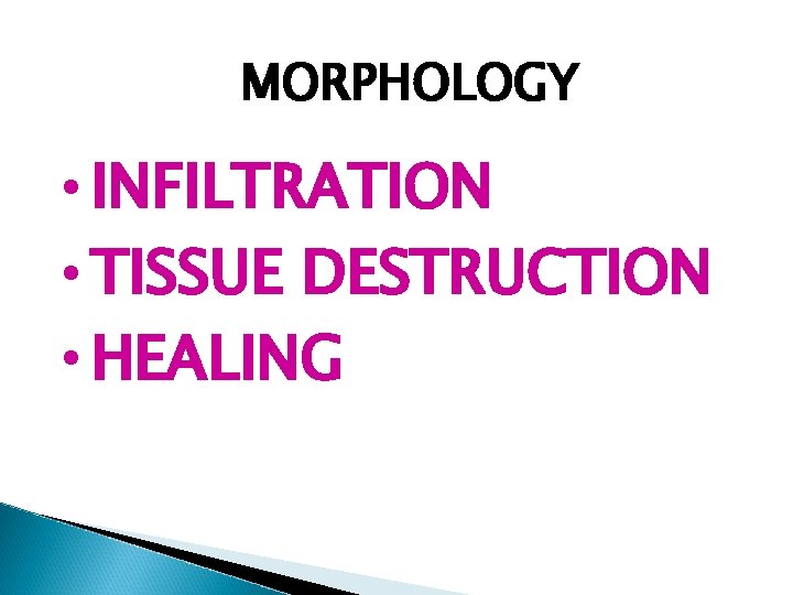 MORPHOLOGY • INFILTRATION • TISSUE DESTRUCTION • HEALING 