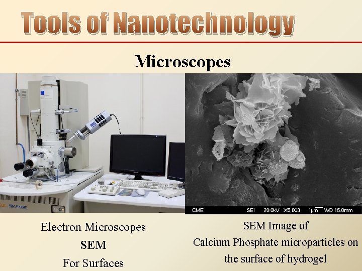 Tools of Nanotechnology Microscopes Electron Microscopes SEM For Surfaces SEM Image of Calcium Phosphate