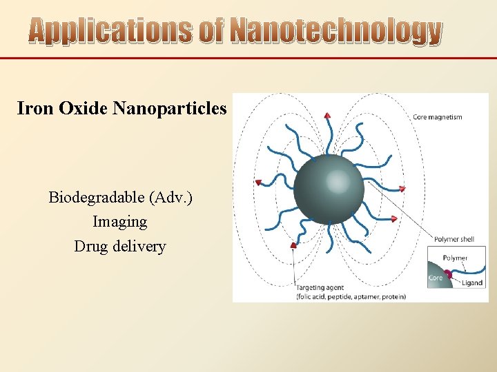 Applications of Nanotechnology Iron Oxide Nanoparticles Biodegradable (Adv. ) Imaging Drug delivery 