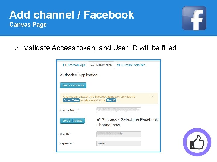 Add channel / Facebook Canvas Page o Validate Access token, and User ID will