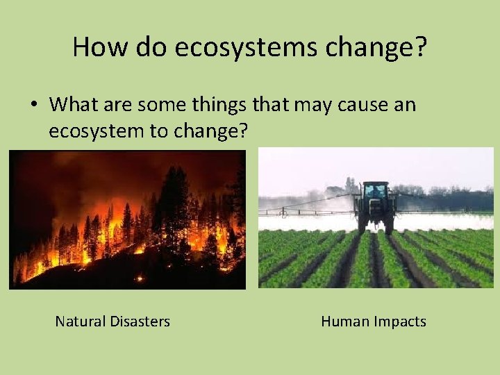 How do ecosystems change? • What are some things that may cause an ecosystem