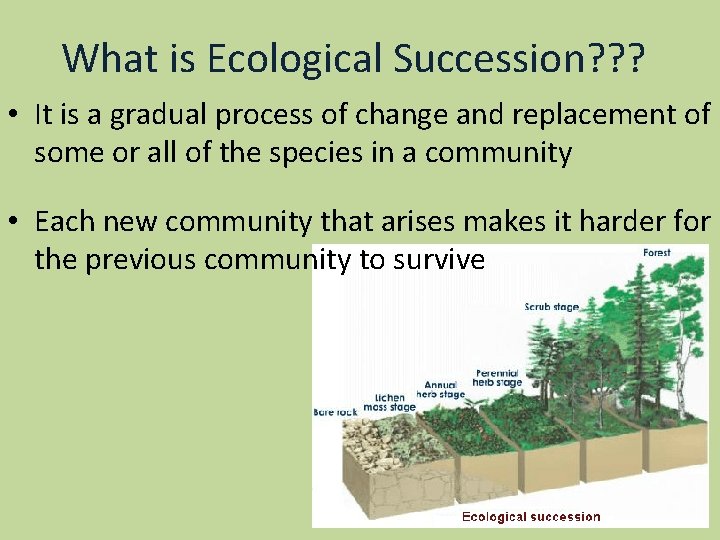 What is Ecological Succession? ? ? • It is a gradual process of change