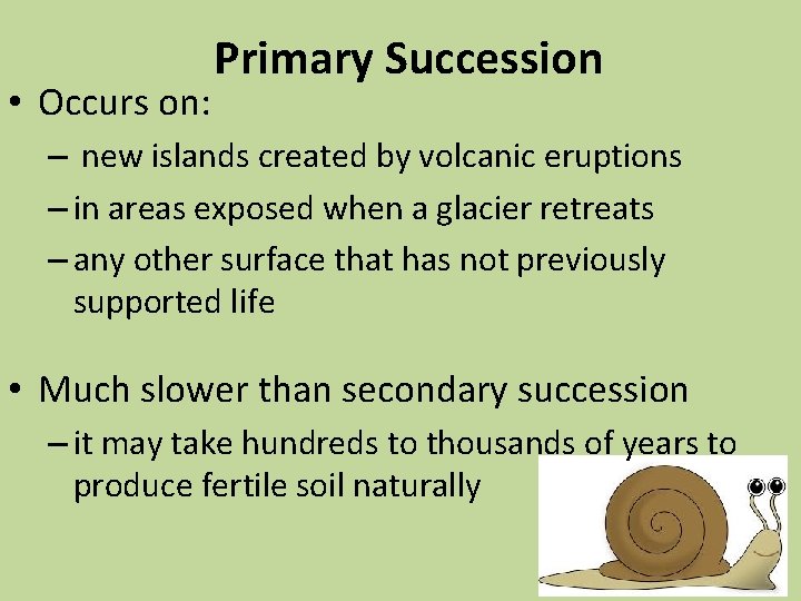  • Occurs on: Primary Succession – new islands created by volcanic eruptions –