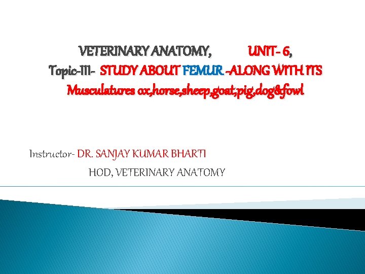 VETERINARY ANATOMY, UNIT- 6, Topic-III- STUDY ABOUT FEMUR -ALONG WITH ITS Musculatures ox, horse,