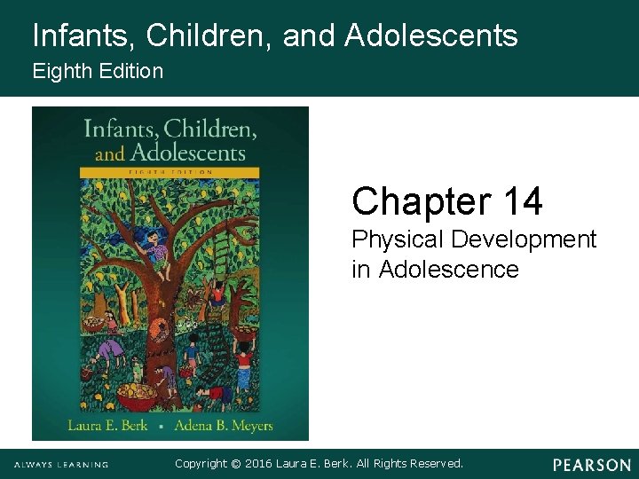 Infants, Children, and Adolescents Eighth Edition Chapter 14 Physical Development in Adolescence Copyright ©