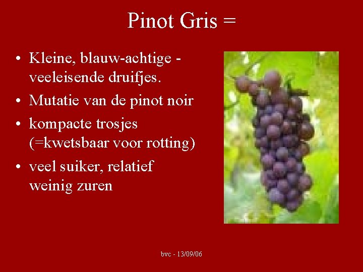 Pinot Gris = • Kleine, blauw-achtige veeleisende druifjes. • Mutatie van de pinot noir