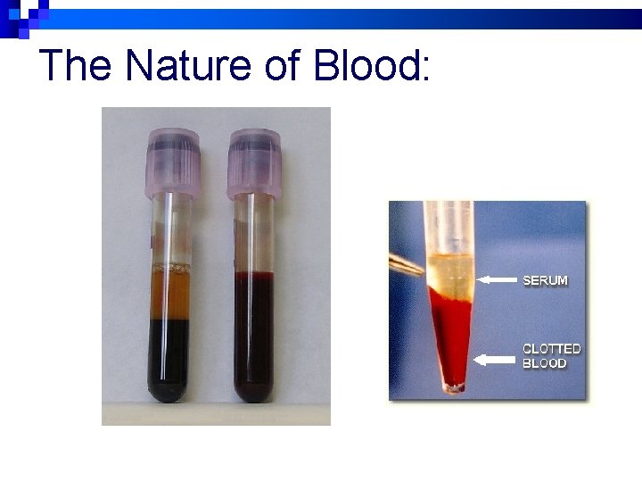 The Nature of Blood: 