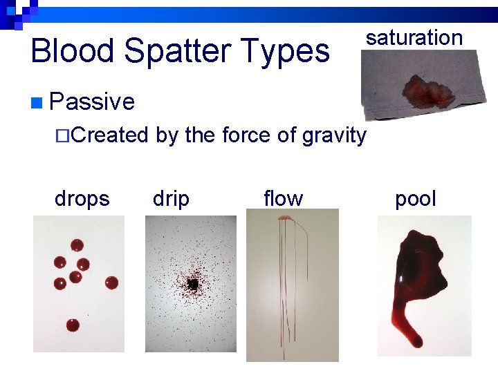 Blood Spatter Types saturation n Passive ¨Created by the force of gravity drops drip