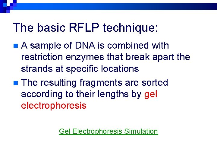 The basic RFLP technique: A sample of DNA is combined with restriction enzymes that