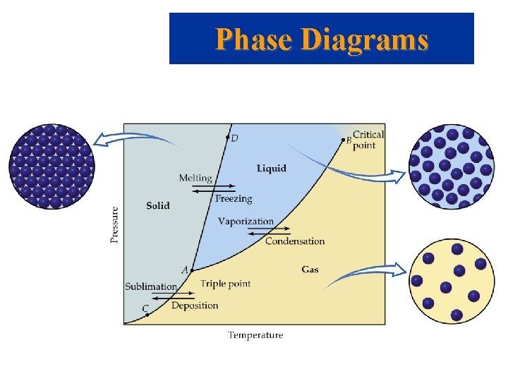 Phase Diagrams 