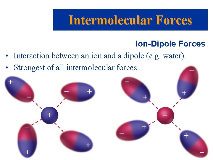 Intermolecular Forces Ion-Dipole Forces • Interaction between an ion and a dipole (e. g.