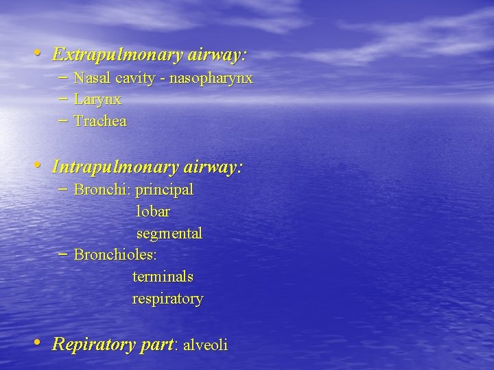 • Extrapulmonary airway: – Nasal cavity - nasopharynx – Larynx – Trachea • • Extrapulmonary airway: – Nasal cavity - nasopharynx – Larynx – Trachea •