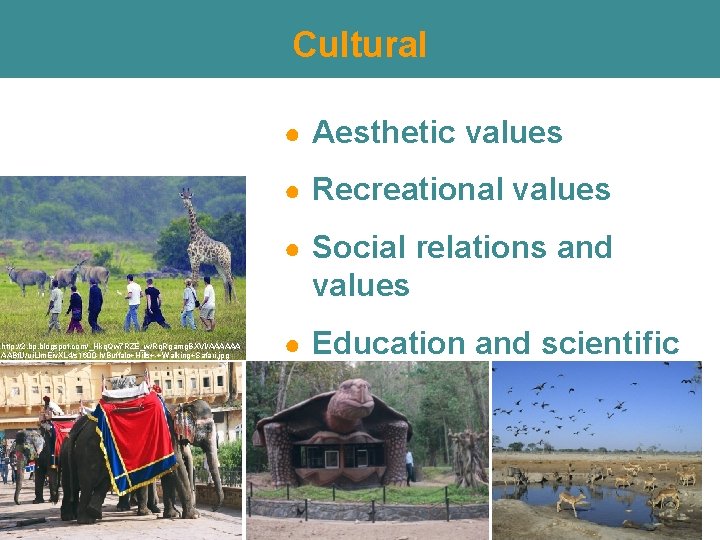 Cultural ● Aesthetic values ● Recreational values ● Social relations and values http: //2. Cultural ● Aesthetic values ● Recreational values ● Social relations and values http: //2.