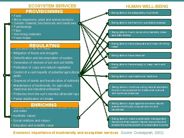ECOSYSTEM SERVICES PROVISIONNING § Food § Micro-organisms, plant and animal products § Genetic material, ECOSYSTEM SERVICES PROVISIONNING § Food § Micro-organisms, plant and animal products § Genetic material,
